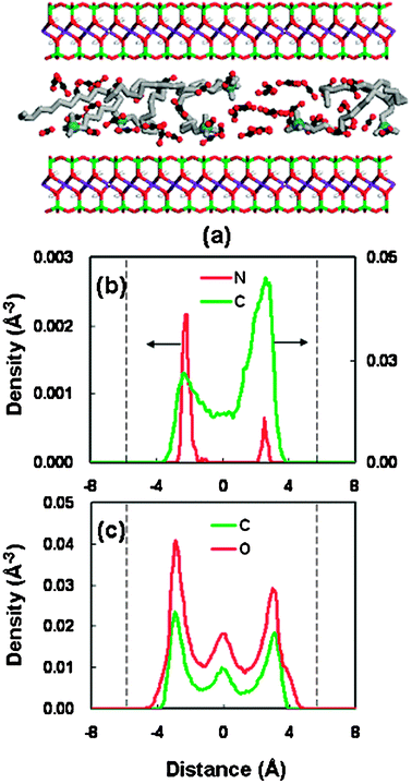 (a) Snapshot of the structure at a basal spacing of 18.46 Å for OM. OM color code as Fig. 3(a). CO2 molecules are shown as red spheres (oxygen atom) and black spheres (carbon atom). (b) Density distributions of the surfactant at a basal spacing of 18.46 Å (nitrogen in red, alkyl chain in green); the dashed line represent the silicate surface. (c) Density distributions of CO2 at a basal spacing of 18.46 Å (oxygen atom in red, carbon atom in green); the dashed line represents the silicate surface.
