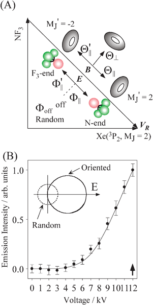 (A) Geometric relationship between the molecular orientation (parallel (Θ∥: N-end), antiparallel (: F3-end), and orientation field off (Φoff: random orientation)) and the atomic configuration (parallel (Θ∥), perpendicular (Θ⊥), and antiparallel ) with respect to the direction of relative velocity vR with a Newton diagram for the title reaction. (B) Focusing curve for the XeF* formation; experimental (●), calculated one via the trajectory simulation with the rotational temperature of Trot = 200 K (solid line). (inner panel) Polar coordination representation of the orientational distribution of the molecular axis with respect to the electric orientation field E for the state-selected NF3 beam at V0 = 12 kV (solid line) and random orientation (broken line).