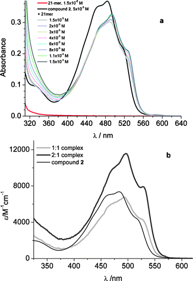 Affinity Of The Anthracycline Antitumor Drugs Doxorubicin And Sabarubicin For Human Telomeric G Quadruplex Structures Physical Chemistry Chemical Physics Rsc Publishing Doi 10 1039 C0cp008b