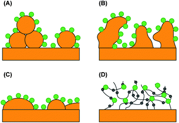 
            Electrodes with an increased number of catalytic centers per geometrical surface area. The large dots represent immobilized photosynthetic centers on (A) the gold nanoparticle electrode, (B) the nanoporous gold leaf electrode, (C) the gold island film electrode, and (D) the redox hydrogel electrode. The small dots are embedded, redox-active Os(bipy)2Cl groups.