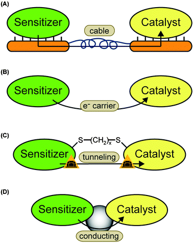 Possible electron transfer pathways: (A) sensitizer and catalyst are immobilized on different electrodes. The electrons are indirectly transferred via the electrode system. (B) The sensitizer transfers one or more electrons to a soluble carrier. The carrier diffuses towards the catalysts and provides the electron(s) for proton reduction. This is the second way of indirect electron transfer. (C) A molecular wire is used to bring the electron donor site of the sensitizer close to the electron acceptor site of the catalyst. The electrons can tunnel directly. The case of a dithiol linker is chosen as an example. Another option are one-component systems where the wire is part of the molecule. (D) Sensitizer and catalyst are connected by a molecular wire which mediates the electron transfer.