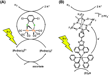 (A) Multi component system utilizing an Fe2 complex as the catalyst and Ru(bpy)3 as the sensitizer.73 (B) A Ru–cobaloxime dyad as an example of a linked sensitizer–catalyst system using supramolecular interactions.80