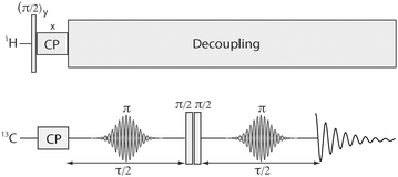 
          Pulse sequence for measuring selected internuclear 13C–13C dipolar couplings in 13C-labelled organic solids. The sample is rotated around an axis which has a known constant deviation from the magic angle with respect to the magnetic field. The shaped π pulses are tuned to invert the magnetizations of nuclei resonating within 1 or 2 narrow frequency regions. In practice, these selective pulses have a very small amplitude. The phases of the adjacent π/2 pulses are cycled to filter out signals that pass through either zero-quantum coherence (ZQC) or double-quantum coherence (DQC) at the junction of the pulses. Comparison of the ZQ and DQ-filtered signal amplitudes as a function of τ permits estimation of the internuclear couplings.
