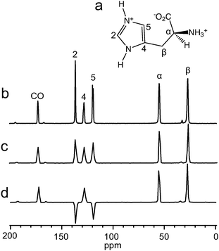(a) Molecular structure and labelling scheme of the l-histidinium ion. (b) Cross-Polarization (CP) magic-angle spinning13C spectrum of [U-13C,15N]-l-His·HCl·H2O. (c) CP 13C spectrum obtained while spinning around an axis with an offset of −0.8° from the magic angle. (d) as in (c) but using a cosine-modulated Gaussian 180° pulse to invert the 13C magnetizations of sites C2 and C5. All spectra were obtained at 9.4 T and a spinning frequency of 14.00 kHz.