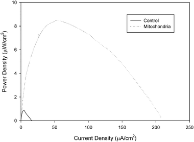 Representative power curves of a 100 mM cysteine/air biofuel cell employing a mitochondrial modified bioanode versus a control bioanode that has only been coated with tetrabutylammonium bromide modified Nafion immobilization polymer. Experiments were performed at room temperature.