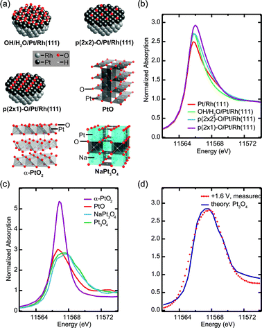 Simulation of HERFD XANES using FEFF8: (a) hemispherical adsorbate-covered Pt/Rh(111) clusters and representative sections of Pt oxide structures, (b) and (c) simulated spectra of (b) Pt/Rh(111) with different chemisorbed oxygen-containing species and (c) of oxides PtO2, NaxPt3O4 and PtO, (d) comparison of simulated Pt3O4 XANES with measured high-potential data.