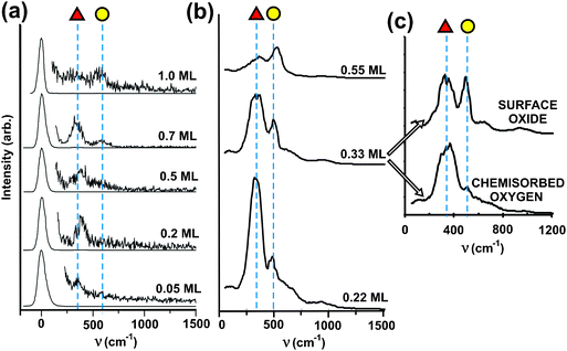 Experimental and simulated vibrational spectra for O bound to Au(111) with varying O surface concentration. (a) High resolution electron energy loss (HREEL) data obtained after depositing O onto Au(111) using ozone decomposition at 200 K. All spectra are on the same scale, with intensities multiplied by a factor of 100. Two main peaks are identified with dotted lines at 360 (red triangle) and 570 cm−1 (yellow circle). (b) Calculated vibrational spectra for different coverages of atomic oxygen introduced to the surface in AIMD simulations described below. The red triangle labels the peak at 350 cm−1 and the yellow circle one at 500 cm−1. The spectrum simulated for an O coverage of 0.33 ML split in (c) into MD runs that produced chemisorbed oxygen in 3-fold sites (red triangle) and oxygen in a “surface oxide”, which has two O atoms bound to a single Au atom, which is pulled out of the surface. Reprinted with permission from ref. 71.