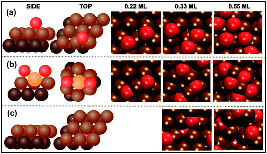 Three different types of O bonding to Au(111), shown schematically on the left, are identified using ab initio molecular dynamics simulations: (a) chemisorbed, (b) surface oxide, and (c) subsurface oxide. Dark brown, light brown, yellow, and red spheres represent the second layer of gold, top layer of gold, gold adatoms, and oxygen atoms, respectively. Illustrative examples from a specific trajectory are shown at the right. Brown and red spheres represent gold and oxygen atoms, respectively. A white asterisk labels subsurface oxygen atoms in (c). The subsurface oxide was only found for oxygen coverages above 0.33 ML. Reprinted with permission from ref. 71.