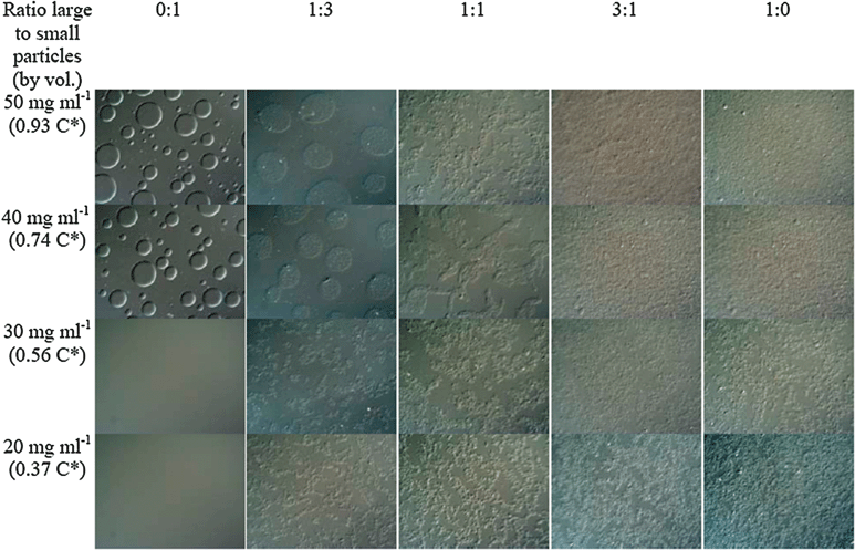 Typical DIC images of evolving phase structures, two minutes after mixing. The overall particle volume fraction is 12%. The width of each image is 260 μm.