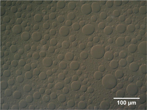 
          DIC image of lower portion of sample at Cp/C* = 0.74 and 1 : 3 large : small particles (by vol), two minutes after re-homogenizing.