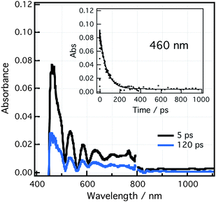 Femtosecond transient absorption spectra of crown-BDP-ZnP dyad in PhCN recorded at 5 and 120 ps after excitation pulse at wavelength of 430 nm. The inset presents a time profile of the transient absorption at 460 nm.