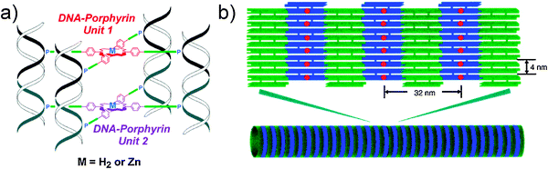 (a) Four-way-branched porphyrin–DNA assembly (Reprinted with permission from ref. 66. Copyright 2005 American Chemical Society); (b) use of porphyrin–DNA in a tile system to create DNA tubes (Copyright Wiley-VCH Verlag GmbH & Co. KGaA. Reproduced with permission).67