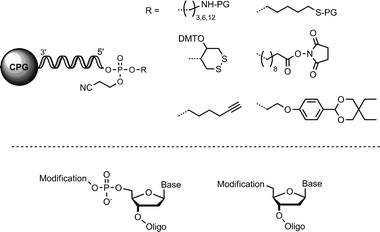 The top part shows a selection of commercially available end-modifiers. CPG = controlled pore glass, DMT = 4,4′-dimethoxy trityl, PG = protecting group. Bottom: 5′-modification through tailor-made phosphoramidites (left) or substituted nucleotides (right).