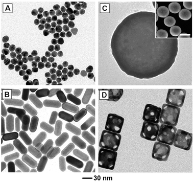 Commonly studied gold nanostructures: (A) multiply twinned gold nanoparticles (often referred to as nanospheres), (B) gold nanoshells (silica beads coated with a polycrystalline gold layer), (C) gold nanorods, and (D) gold nanocages. The scale bar in the inset is 200 nm. Modified with permission from ref. 53 (A, B) and ref. 63 (C), copyright 2010 Wiley and 2007 American Chemical Society, respectively.