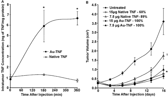 (A) Intratumor TNF accumulation following an intravenous injection of TNF either free in solution (native) or conjugated to PEGylated gold nanoparticles (Au-TNF) (* indicates p < 0.05 versus native). (B) Antitumor efficacy of native TNF and Au-TNF (Au-TNF). Percentages are mouse survival rates (* or § indicates p < 0.05 versus untreated controls). Modified with permission from ref. 16, copyright 2004 Taylor and Francis Inc.