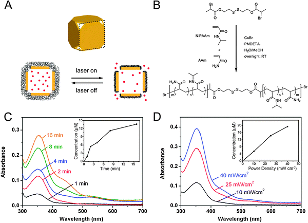 (A) Schematic illustrating the release mechanism for gold nanocages coated with smart polymer chains. (B) Atom transfer radical polymerization of NIPAAm and AAm monomers as initiated by a disulfide initiator and in the presence of a Cu(i) catalyst. (C–D) Controlled release from the gold nanocages covered by a smart polymer with an LCST at 39 °C (pNIPAAm-co-pAAm). (C, D) Absorption spectra of alizarin-PEG released from the copolymer-covered Au nanocages (C) by exposure to a pulsed NIR laser at a power density of 10 mW cm−2 for 1, 2, 4, 8 and 16 min and (D) by exposure to the NIR laser for 2 min at 10, 25 and 40 mW cm−2. The insets show the concentrations of alizarin-PEG released from the nanocages under different conditions. Modified with permission from ref. 21, copyright 2009 Nature Publishing Group.