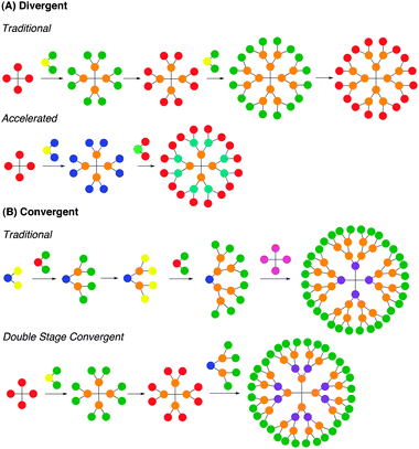 Pictorial representations of dendrimer synthesis by (A) divergent and (B) convergent strategies.