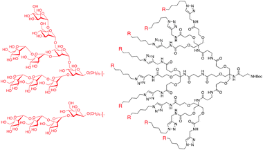 Dendrimers synthesized with Man4 and Man9 groups on the periphery to function as HIV-1 inhibitors.