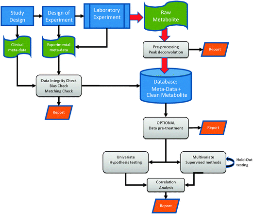 The workflow for data analysis in a holistic metabolomics experiment.