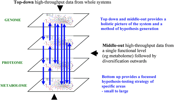 The experimental strategies applied in systems biology; bottom-up, top-down and middle-out.