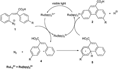 Proposed mechanism for the photocatalytic Pschorr reaction.