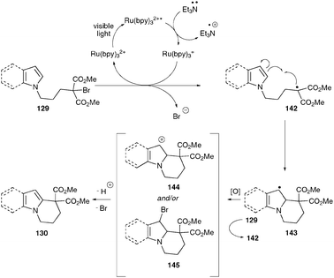 Proposed mechanism for the photocatalytic radical addition onto indoles and pyrroles.