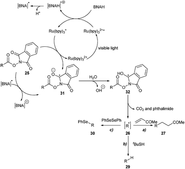 Proposed mechanism for the decarboxylation of acyloxyphthalimides using photoredox catalysis.