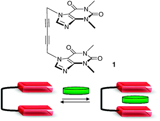 First molecular tweezer described by Chen and Whitlock and its principle of supramolecular recognition.