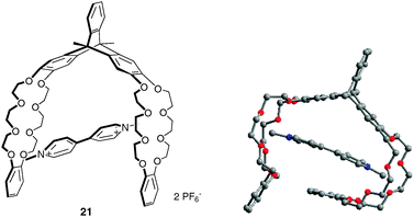 Complexation of paraquat with triptycene-based molecular clip 21 and corresponding X-ray crystal structure (anions omitted).