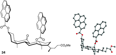 Structure of chiral bile acid molecular tweezer 34.