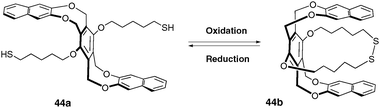 
              Opened and closed conformations of compound 44.