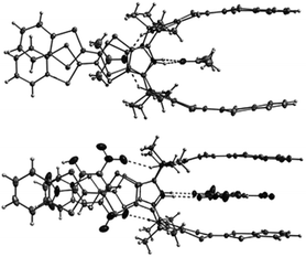 X-Ray crystal structures of 46·2Me2CO (top) and 46·2TNP (bottom) (reproduced with permission from ref. 61. Copyright Wiley-VCH 2010).