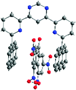 X-Ray crystal structure of the complex 47. TNF.