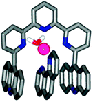 X-Ray crystal structure of the sandwich complex 48·Zn(ii)·Phen (reproduced with permission from ref. 62. American Chemical Society 2010).