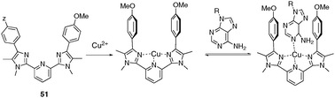 Tweezer 51 and metal-assisted recognition of adenine.