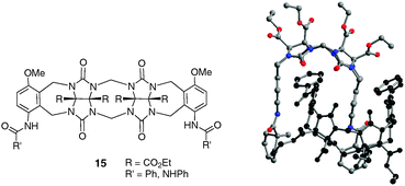 Dimeric glycoluril molecular clip 15 and its self-association observed by X-ray study.