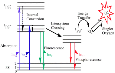 Modified Jablonski diagram showing the formation of singlet oxygen.