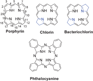 Basic structure of porphyrins, reduced porphyrins (chlorins, bacteriochlorins) and phthalocyanines.