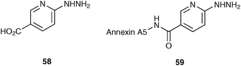 HYNIC 58 and HYNIC–annexin A5 59.