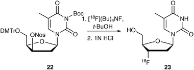 Radiosynthesis of [18F]fluorothymidine 23 using protic solvents.