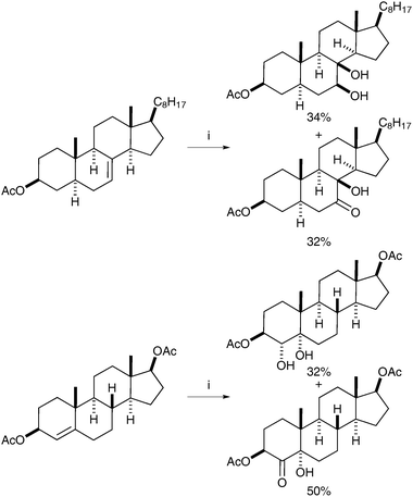 
            Reagents and conditions: (i) RuO4 (1.5 eq.), NaIO4, acetone/H2O.