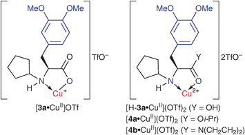 Copper(ii)·l-DOPA derivative complexes [3·CuII]OTf, [H-3·CuII](OTf)2 and [4·CuII](OTf)2.