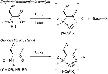 Rational design of copper(ii)·l-amino acid derivative catalysts for the asymmetric Diels–Alder reaction.