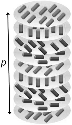 Helical organization in the chiral nematic (N*) phase. Cylinders indicate director orientations.