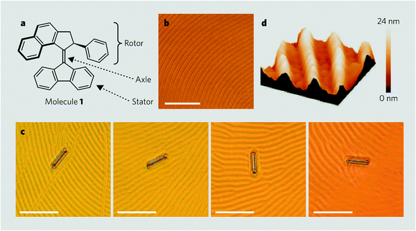 Features of a light-driven molecular motor: (a) structure of the motor (molecule 1). Bonds in bold point out of the page. (b) Polygonal texture of a liquid-crystal film doped with molecule 1 (1% by weight). (c) Glass rod rotating on the liquid crystal during irradiation with ultraviolet light. Frames 1–4 (from left) were taken at 15 s intervals and show clockwise rotations of 28° (frame 2), 141° (frame 3) and 226° (frame 4) of the rod relative to the position in frame 1 (scale bars, 50 μm). (d) Surface structure of the liquid-crystal film (atomic force microscopy image; 15 μm2). (Reproduced with permission from ref. 65. Copyright 2006 Macmillan Publishers Ltd.)