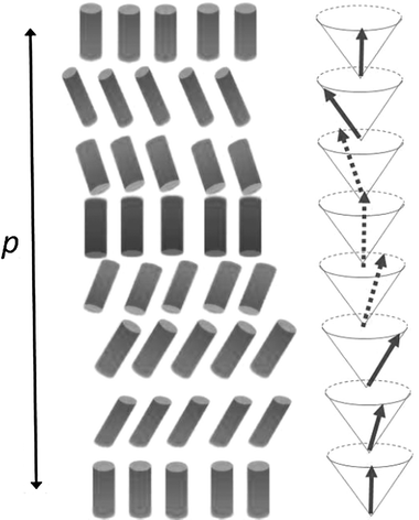 Sketch of the layered organization of the smectic C* phase. Cylinders indicate director orientations.
