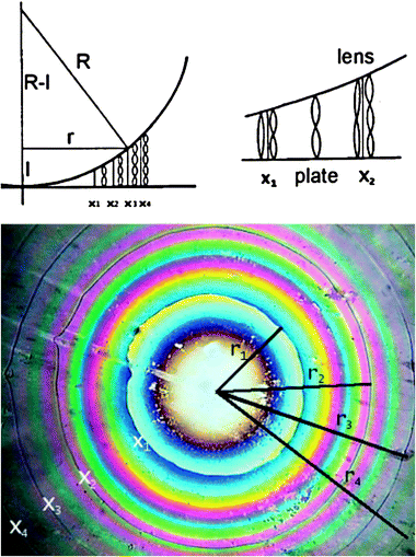 A schematic representation of the origin of the Grandjean–Cano disclination lines which form when a cholesteric is inserted between a plano-convex lens and a glass plate (a) and a typical texture (b). The surfaces of both lens and plate are rubbed to produce grooves along which the director is aligned; the rubbing directions of the top and bottom surfaces lie parallel to each other. In correspondence of the x's, the number of half-turns changes by one and this causes defects which are visible as sharp lines of circular shape. The radii r of the circular Grandjean–Cano disclinations are a function of only the curvature radius R of the lens and of the pitch of the cholesteric phase. (Reprinted with permission from ref. 16. Copyright 2008 John Wiley and Sons).