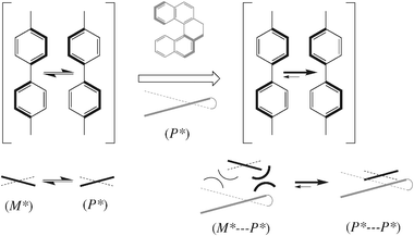 The chirality transfer from the dopant to the solvent. A chiral inducer with a (P*)-helicity aligned with its biaryl axis parallel to the biphenyl core of the nematogenic solvent can have close contact only with solvent molecules adopting the same (P*)-helicity.