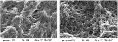 Field emission gun scanning electron microscopy (FEGSEM) images of xerogel (left) formed by gelator 50 dried from toluene under ambient conditions, and insoluble material (right) produced by the metathesis reaction after reswelling in toluene and ambient drying. Scale bars = 200 nm. Reprinted with permission from ref. 130, ® 2009, The American Chemical Society.