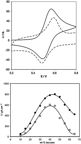 Top: Cyclic voltammograms of polymers hydrogelators 2 (solid line) and 3 (dashed line) on 3 mm diameter glassy carbon electrodes under argon (pH 5, 37 °C, 20 mV/s). Anodic/cathodic peaks separation: 65 mV for 2, and >120 mV for 3. Bottom: Dependence of the current density on the laccase weight percentage for the bioelectrocatalysts made with polymer 2 (solid circles) and with polymer 3 (open circles). Adapted with permission from ref. 40, ® 2006, The American Chemical Society.